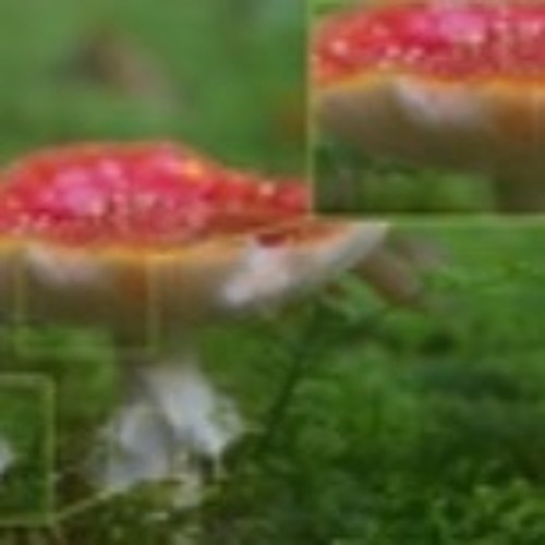 Ssad Cry live slower dies (prod. tgwog x live slower)