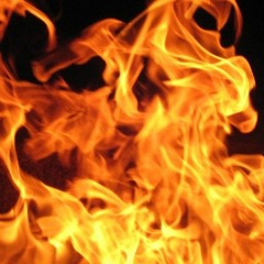 PatvFoo X Jaylah Ali - LiFe