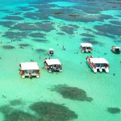 Endless Summer