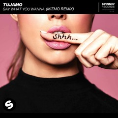 Tujamo - Say What You Wanna (Mizmo Remix) [REMIX CONTEST WINNER]