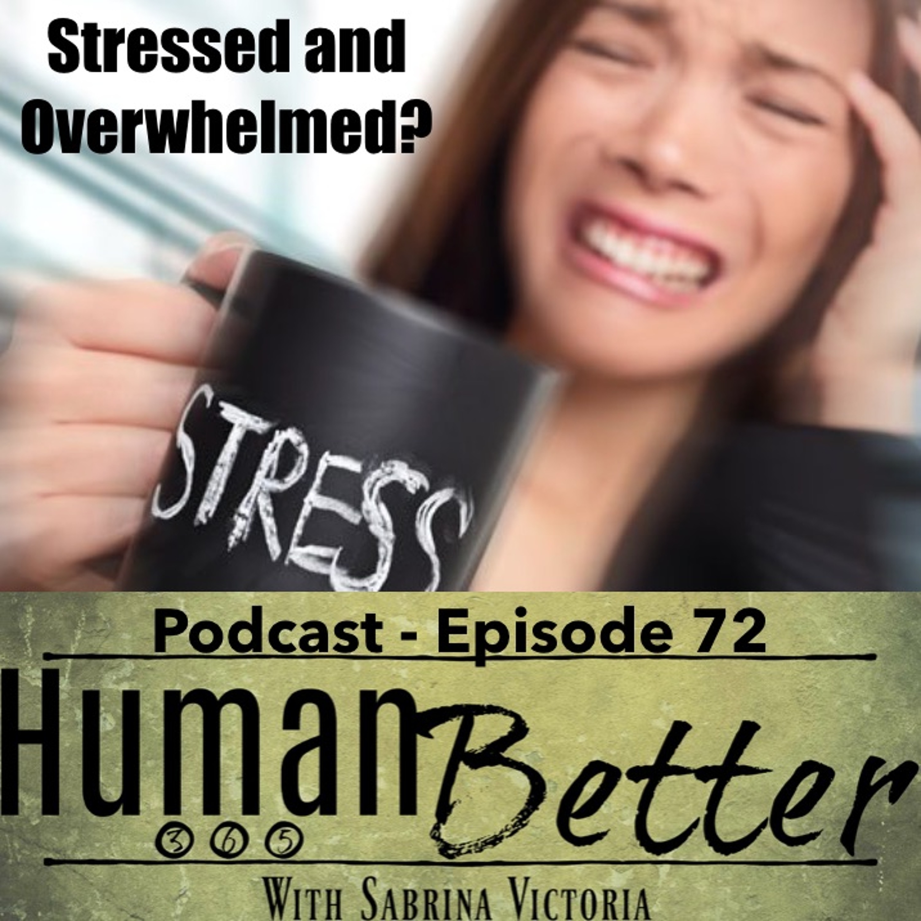 Human Better 365