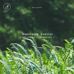Mureung Forest