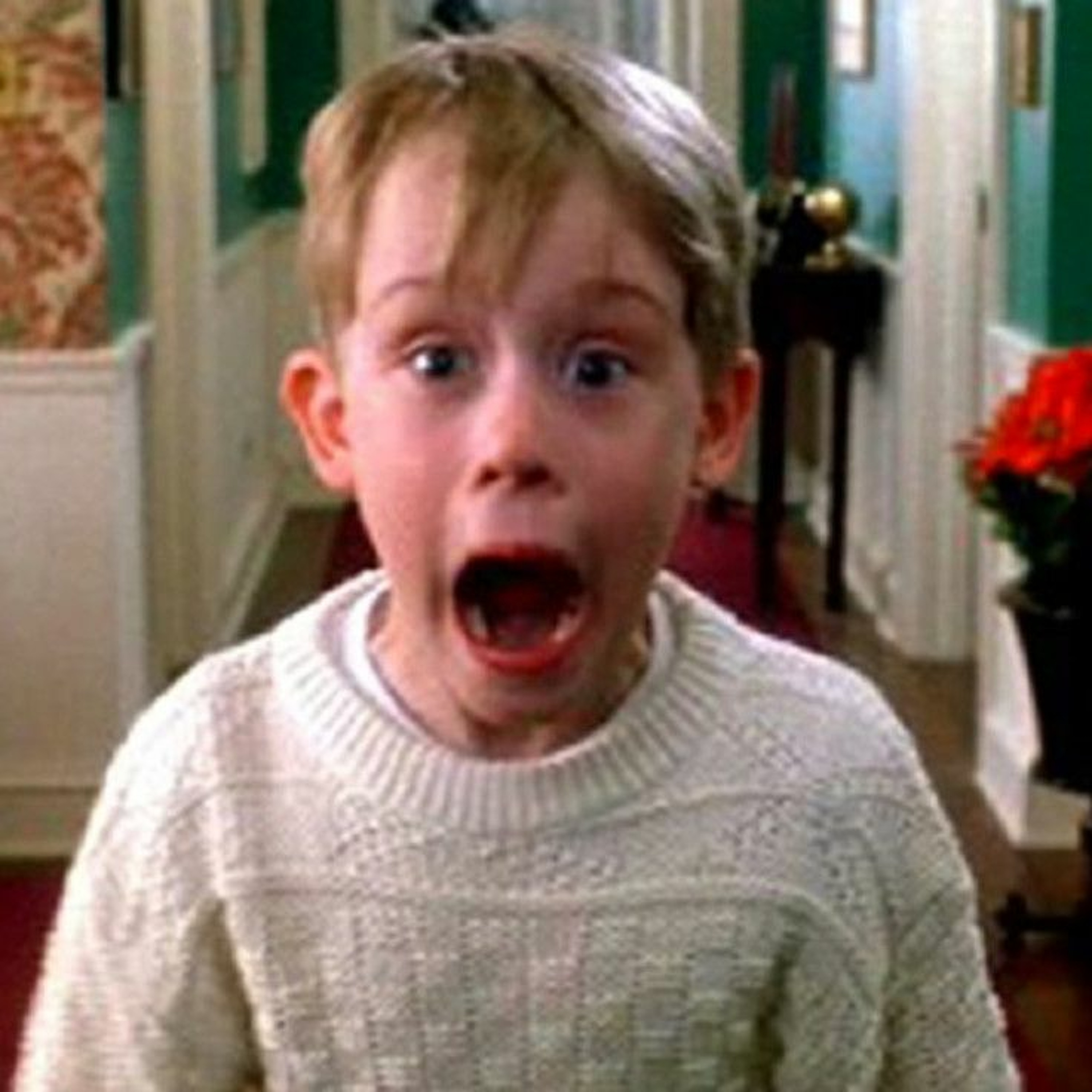 HOME ALONE