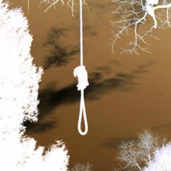 CARRDS - THE NOOSE ON THE TREE