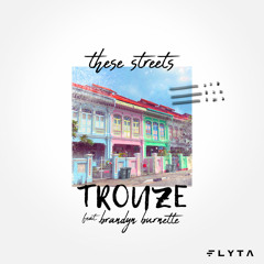 These Streets (feat. Brandyn Burnette)