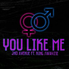 2nd Avenue - "You Like Me" ft. King Swayzie (Prod. 2nd Avenue)