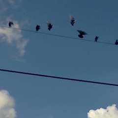 I Stole The Right To Live (Michael Hurley Cover)