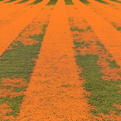 02 - MaidenVoyage - RockyRoll - TidesofOurMoon.MP3