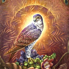 Wambli- Ramiro Orrantia