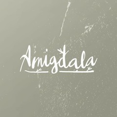 Amigdala - Kata Ibu Rindu