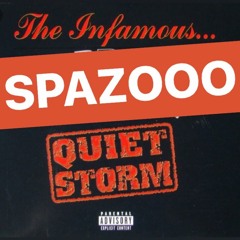 QUIET STORM FREESTYLE