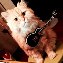 꾸미와 집사가 함께 부른  'Love of my life' 어쿠스틱 듀오냥