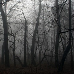 Spectrum - Forest Power