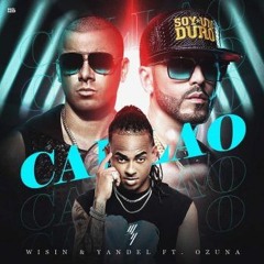 Nieuw en populair: Reggaeton