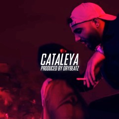 "CATALEYA" Samra ft. Bushido, Capital Bra Type Beat | by. Drybeatz | Instrumental | MYTHOS, FEUER