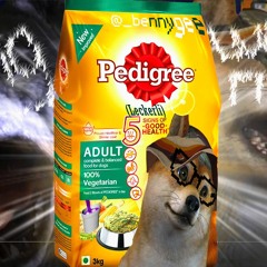 🐶 WauWauWau 🐾 (feat. Yungmon)(Prod.By BruferrBeatz){Musicvideo in se description}