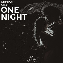 MIDIcal - One Night (Ft. Shades)