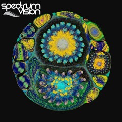 Last Dive (Dope ver)