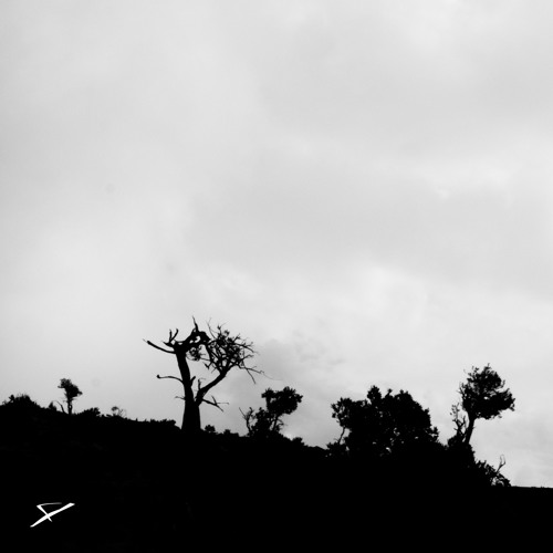 Remnants