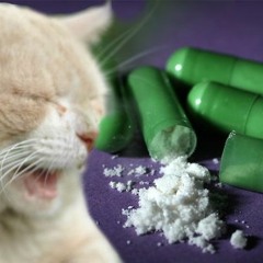 Coca - Extreme Voice (160 bpm)