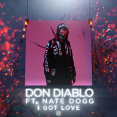 Don Diablo - I Got Love ft. Nate Dogg