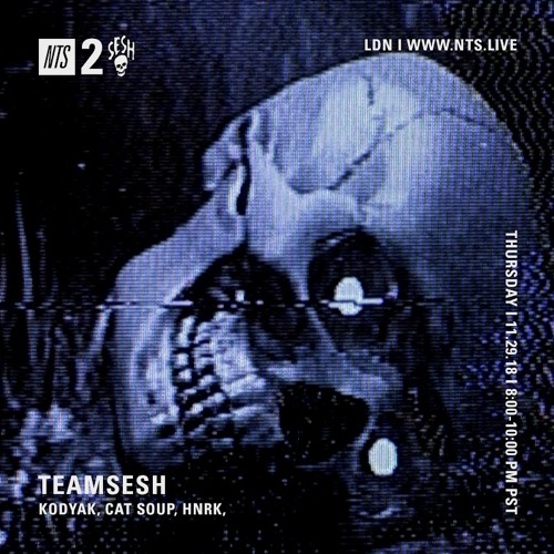 TeamSesh NTS 29th November 2018: cat soup, kodyak & hnrk