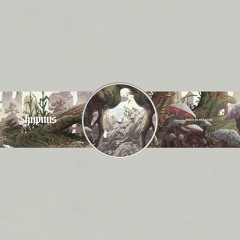 Premiere: Birds ov Paradise - Blossoms
