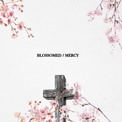 Blossomed