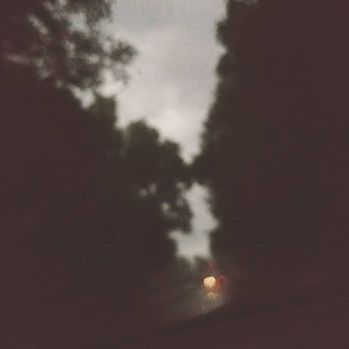 i hope i crash & die