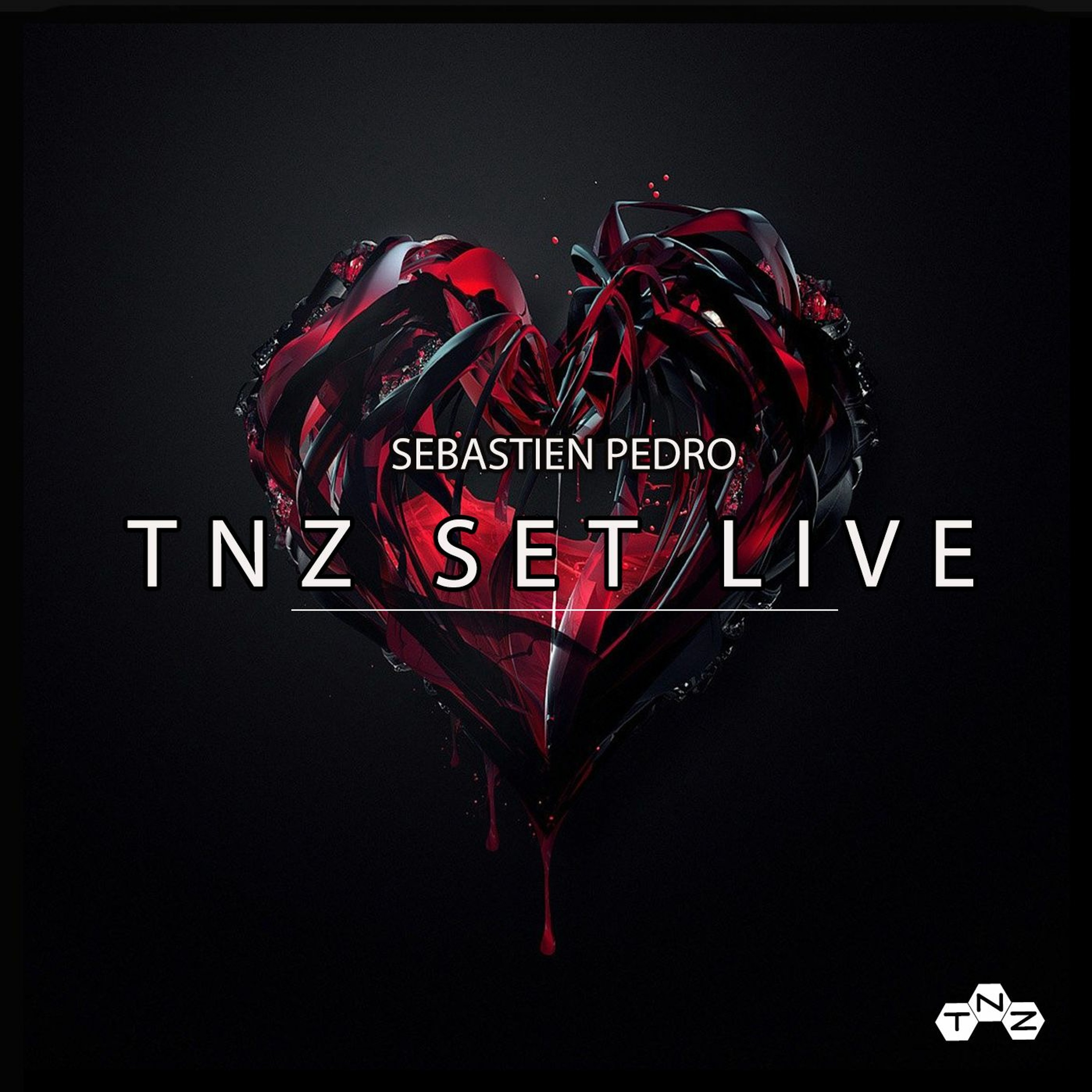 Winter Live Dj Set free download!!  By Technoize Records And Sebastien Pedro episode artwork
