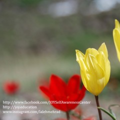"موفق بودن" 7 دسامبر2018"