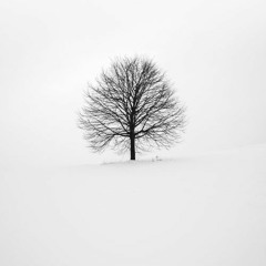 Memories (A Miniature)
