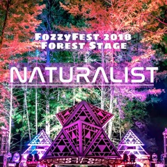 Live at The Forest Stage - Fozzy Fest 2018