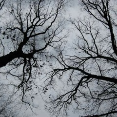 On Sorrow (piano version): Movements 1 and 2 (of 5)