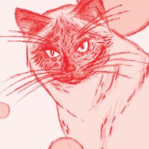 Stream Austin Kinney & Friends - Patterns by Austin Kinney | Listen ...