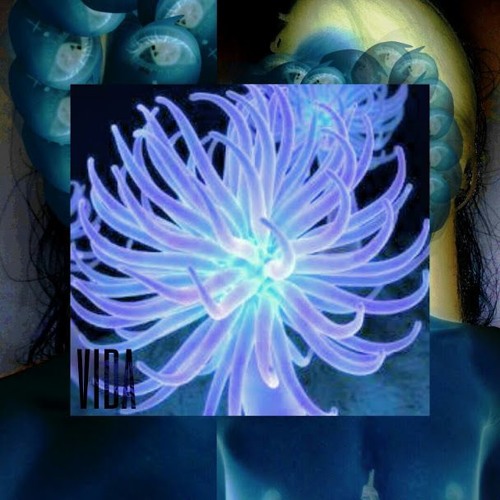ζωή vida
