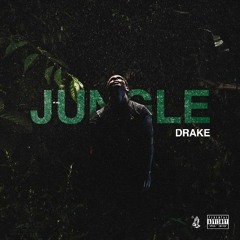 Jungle (Jersey Club Remix)-DJ JXSH 973