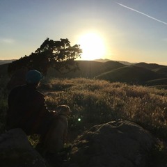 DMT (Never Change) prod. by drumdrummie