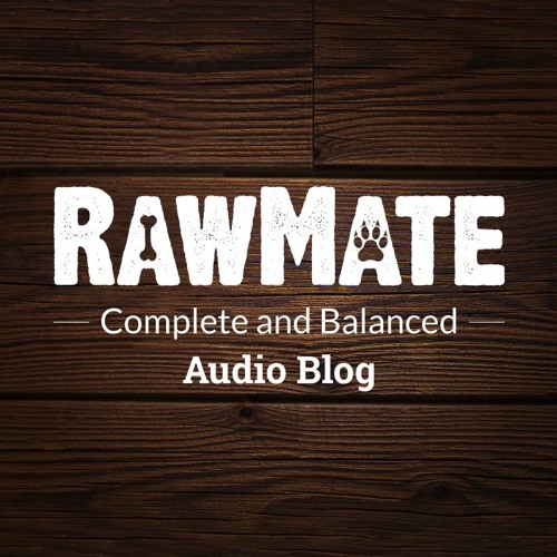 8 Tips For Socialising Your Dog Rawmate Audio Blog