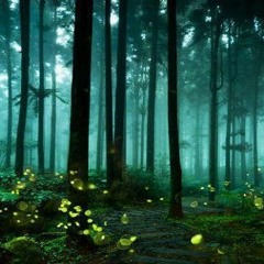 Antilogic Glowing In The Forest