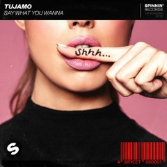Tujamo - Say What You Wanna (Bryce T Remix)