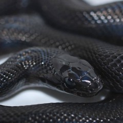 Doe - Lil Baby Freestyle (Doemix)