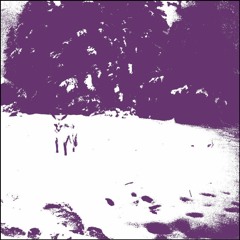 NOR019 Skymme - Harön Rorek Arudzo