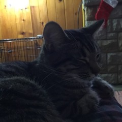 Procrastinating Preliminaries