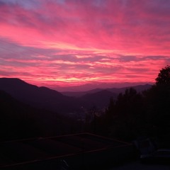 Ci Ho Dato Dentro Come I Pazzi