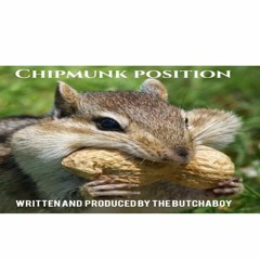 Chipmunk Position