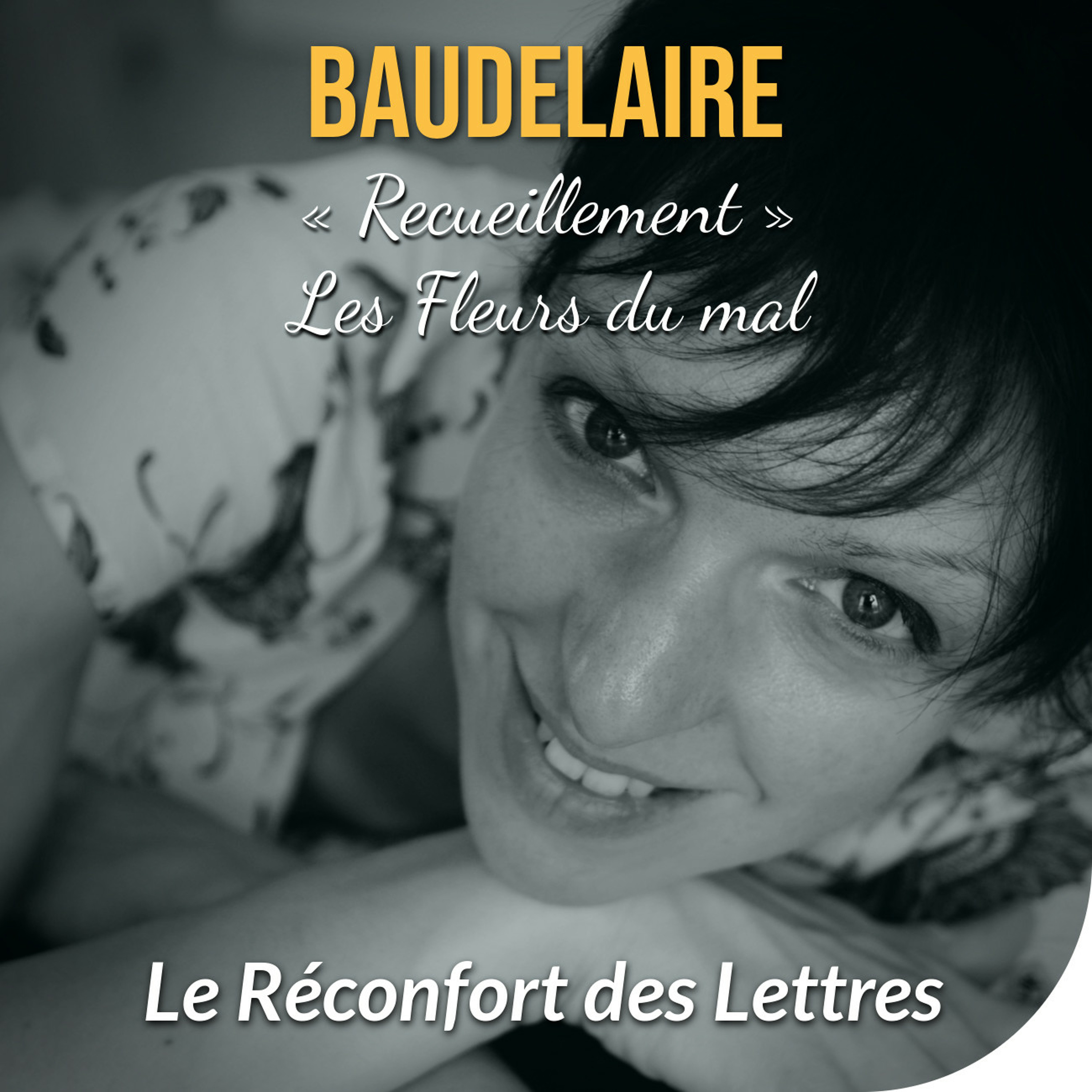 Le Réconfort des Lettres