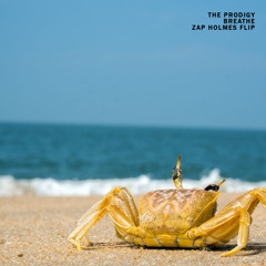 The Prodigy - Breathe (Zap Holmes Flip)