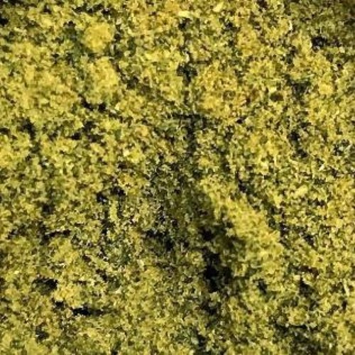 Tech house DJ set