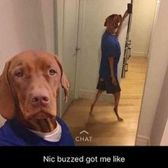 NewportXProntonappsXCAVIN$-Nic Buzz(Pmxnk)